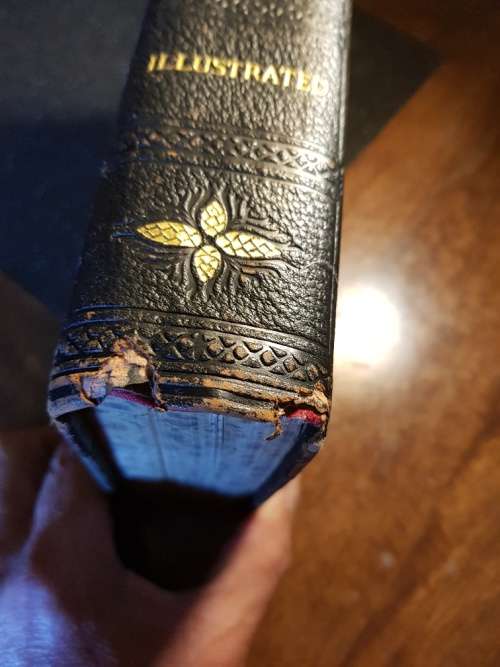 Antique 1910 The Practical Guide to Health by Fredrick M Rossiter