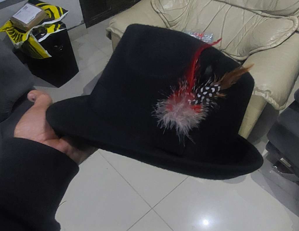 Fedora feather hat