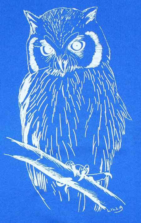 Owl design long sleeved sweatshirt