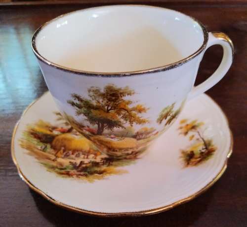 Alfred Meakin Cup and saucer `The Hayride`