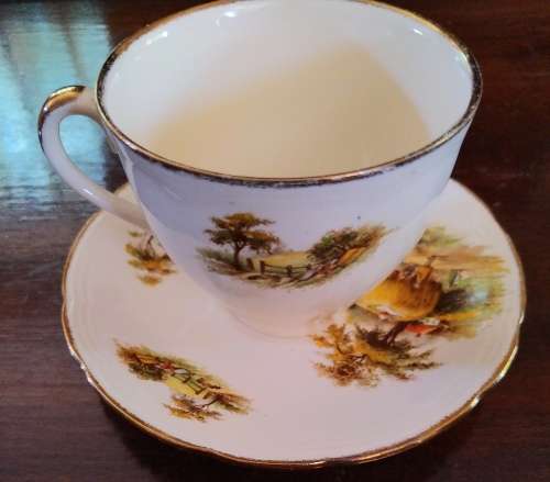 Alfred Meakin Cup and saucer `The Hayride`