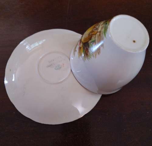 Alfred Meakin Cup and saucer `The Hayride`