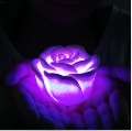 Romantic LED lighted Floating Rose