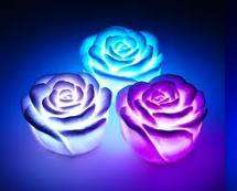 Romantic color changing roses(FREE SHIPPING 10 OR MORE)