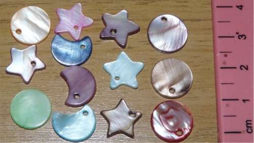 13 pc Nature oyster shell Charms