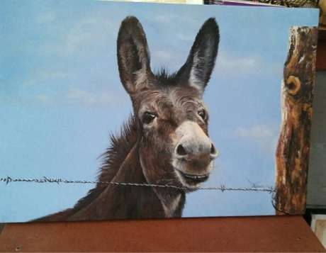 Donkey by Amelia van den Berg Get your painting while the artist is still affordable