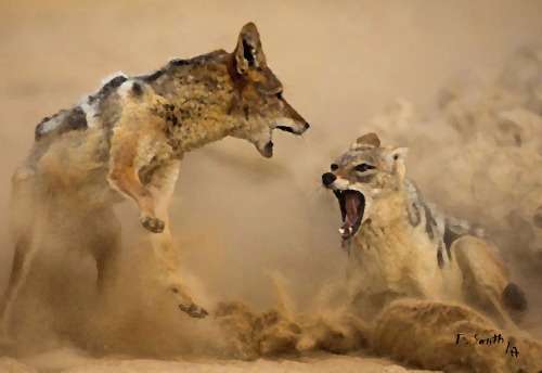 Fighting for supremacy Theunis Smith ...International seller..Top Art...INVEST NOW