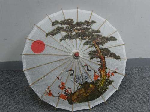 chinese umbrella