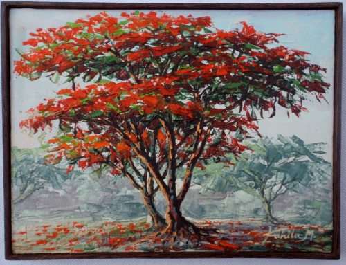 LOVELY SET OF THREE ORIGINAL OIL PAINTINGS - TREES OF AFRICA - SEE ALL THREE - VERY GOOD PRICE!!!