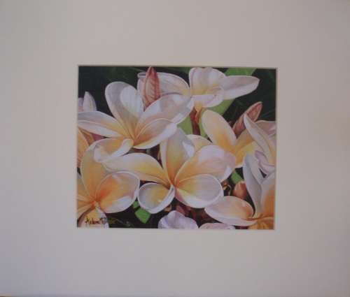 LIMITED EDITION GICLEE - 'FRANGIPANI' BEAUTIFULLY CARD MOUNTED READY TO FRAME!
