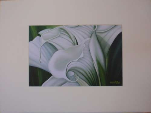 LIMITED EDITION - BEAUTIFUL GICLEE ON IMPORTED CANVAS 'ARUMS' BY ARLENE McDADE