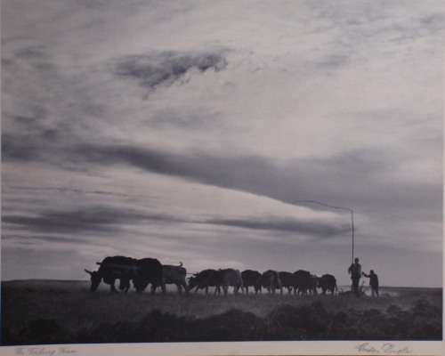 VINTAGE - ORIGINAL SIGNED, AWARD WINNING PHOTO PRINT BY GORDON DOUGLAS 40-50'S - BRILLIANT WORK!!!