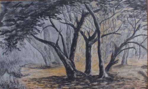 VINTAGE   STUNNING ORIGINAL CHARCOAL DRAWING by EILEEN ELFERS 1983 - LOVELY MONOCHROMATIC DECOR