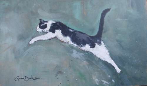 GORGEOUS ORIGINAL OIL by SAM DODD.  WELL KNOWN U.K. ARTIST. 'FLYING CAT'  GOOD PRICE!