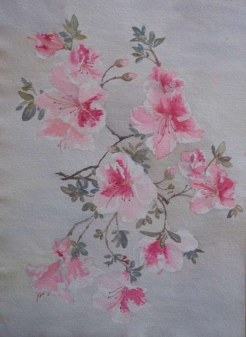 LOVELY ORIGINAL WATERCOLOUR by ANTHEA STUBBS - SOUTH AFRICAN BOTANICAL - SIGNED BY ARTIST!