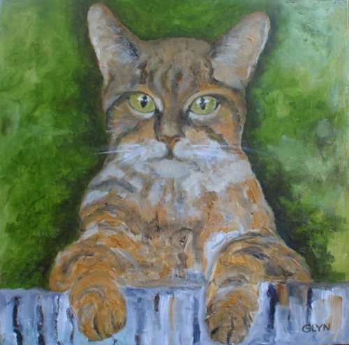 ANOTHER CAT PAWTRAIT - `PEEPING TOM` GORGEOUS GINGER WITH LOVELY GREEN EYES - GOOD PRICE