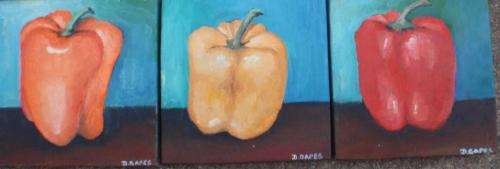 A SET OF THREE ORIGINAL OILS ON CANVAS `COLOURED PEPPERS` - ON STRETCHER FRAMES READY TO HANG!