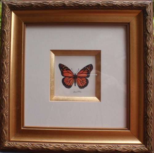 TWO EXQUISITE BUTTERFLY PRINTS by ARNIE R FISK - GORGEOUS FRAMES - ABSOLUTE GEMS!