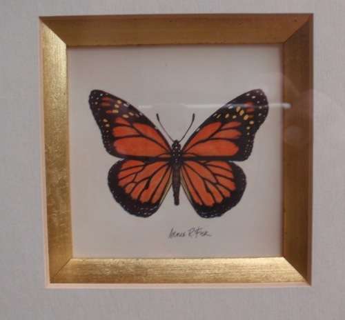 TWO EXQUISITE BUTTERFLY PRINTS by ARNIE R FISK - GORGEOUS FRAMES - ABSOLUTE GEMS!