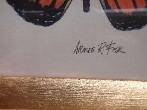 TWO EXQUISITE BUTTERFLY PRINTS by ARNIE R FISK - GORGEOUS FRAMES - ABSOLUTE GEMS!