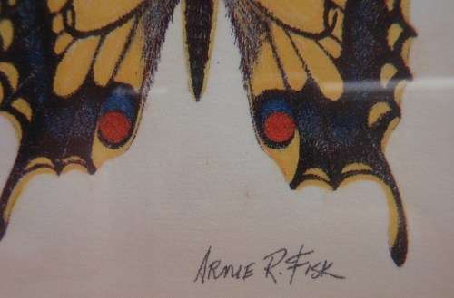TWO EXQUISITE BUTTERFLY PRINTS by ARNIE R FISK - GORGEOUS FRAMES - ABSOLUTE GEMS!