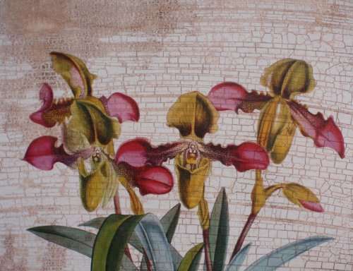 VINTAGE EFFECT - BEAUTIFUL ANTIQUED PRINT OF SLIPPER ORCHIDS IN FABULOUS ORNATE FRAME.