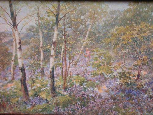 VINTAGE: BEAUTIFUL ETHERIAL PRINT OF PAINTING BY S.SHELTON, BLUEBELLS. IN EBONIZED VINTAGE FRAME.