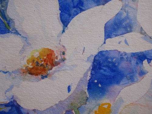 BEAUTIFUL ORIGINAL WATERCOLOUR - WHITE DAISIES IN CHINA BLUE BACKGROUND.