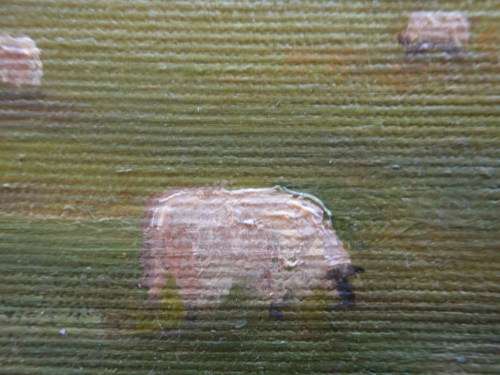 ORIGINAL B.JONES OIL PAINTING OF `BOTHEL CASTEL` SIGNED AND DATED 1988. IMPRESSIONIST COUNTRY SCENE