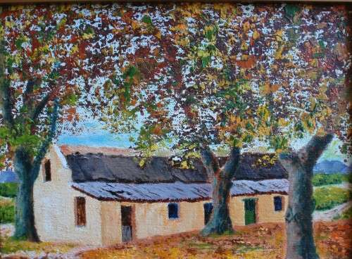 Original oil painting ``Cape Autumn Trees` - beautiful country scene, framed ready to hang.