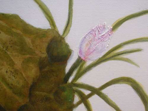Gorgeous orignal painting  by Elizabeth Brice `Koi and Lotus Flower` dreamy minimalist art - lovely!