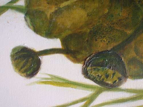 Gorgeous orignal painting  by Elizabeth Brice `Koi and Lotus Flower` dreamy minimalist art - lovely!