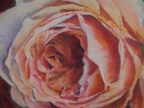 Original by the late Val Wilson - Opulent Rose - beautiful rose study on canvas with deep sides.