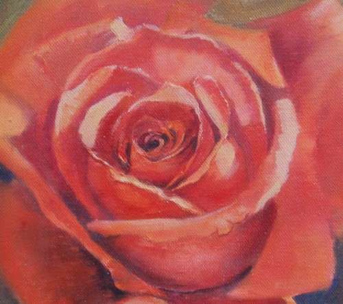 Original oil painting by the late Val Wilson - Opulent Rose. Beautiful rose study.