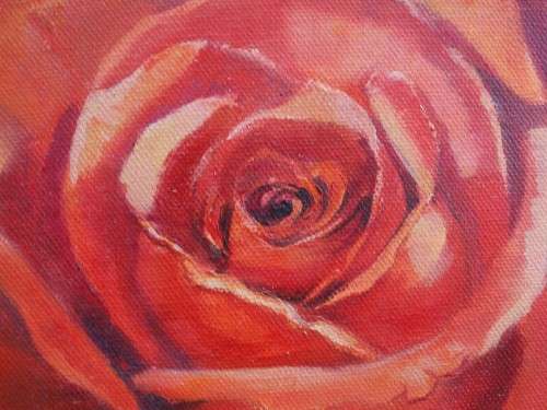 Original oil painting by the late Val Wilson - Opulent Rose. Beautiful rose study.
