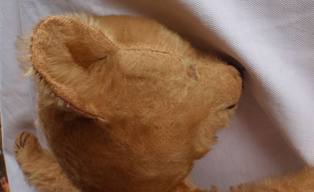 Antique Teddybear, circa 1920s.  Lovely old collectible bear that has survived all these years.
