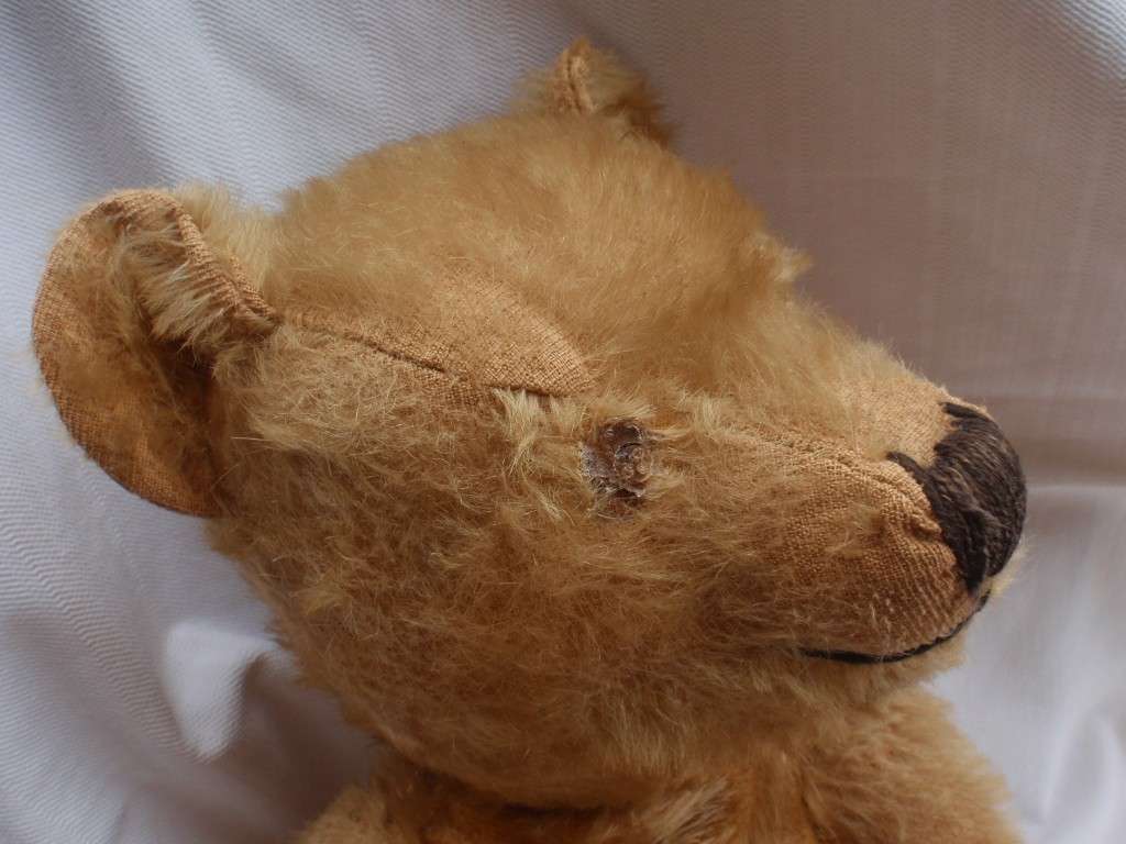 Antique Teddybear, circa 1920s.  Lovely old collectible bear that has survived all these years.