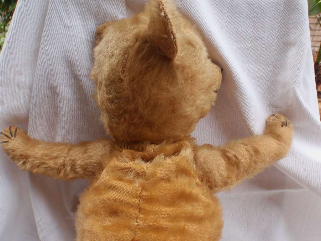 Antique Teddybear, circa 1920s.  Lovely old collectible bear that has survived all these years.