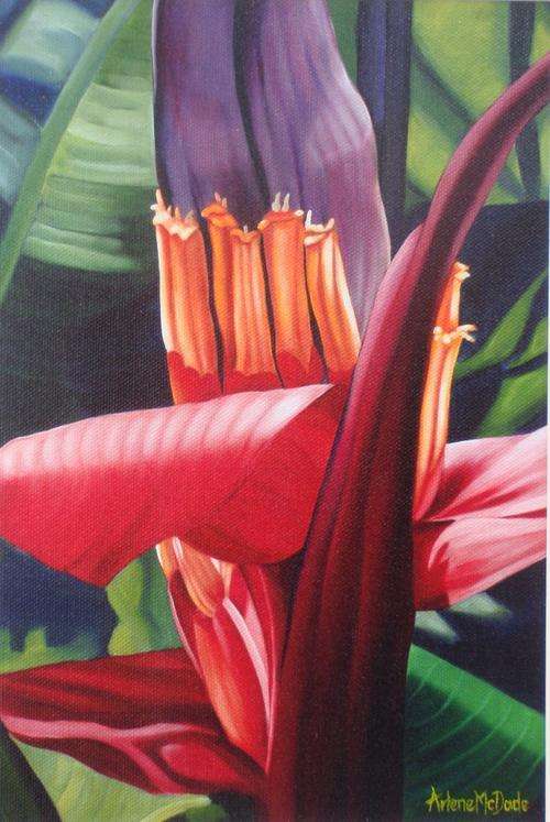 LIMITED EDITION GICLEE - SIGNED BY ARTIST ARLENE McDADE 'EXOTIC BLOOD BANANA'