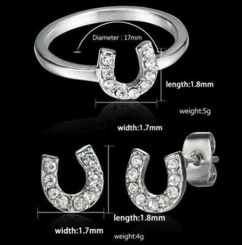 HorseGirl Inc - Horse shoe Ring and earring set for a girl