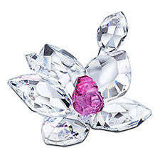 SWAROVSKI CRYSTAL Deep Pink Orchid  #