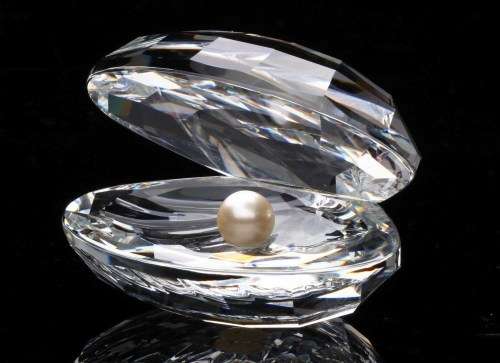 Swarovski Crystal Oyster with Pearl Shell