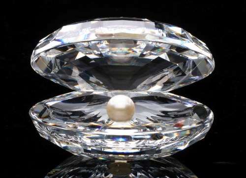 Swarovski Crystal Oyster with Pearl Shell