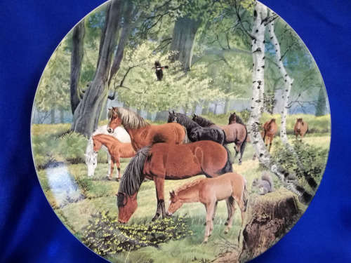 Stunning Davenport "New Forest Ponies" Horse Plate LTD *