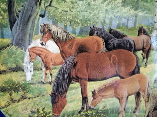 Stunning Davenport "New Forest Ponies" Horse Plate LTD *
