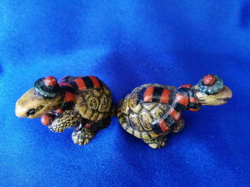 Gala Star S.Africa 2 turtles Tortoises #
