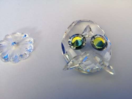 Swarovski Owl Lock down special *