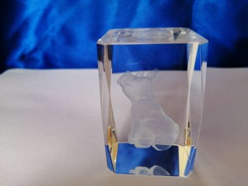 3D Laser Etched Solid Glass Crystal Cube Baby Rhino