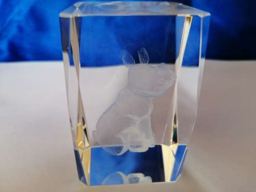 3D Laser Etched Solid Glass Crystal Cube Baby Rhino