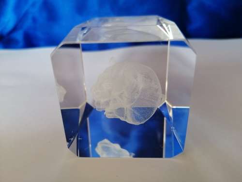 3D Laser Etched Solid Glass Crystal Cube Baby Rhino